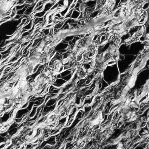 Facia Tissue | SomaFlow Therapy | The Art and Science of Structural Body Healing | CreateHealthNevada | Glenn Hall | Shoshi Hall | Las Vegas, Nevada